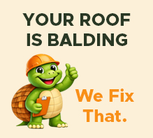 turtle shell roofing about image small