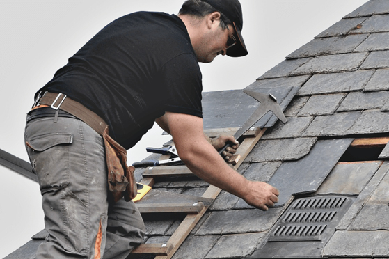 turtle shell roofing shingle roof repair