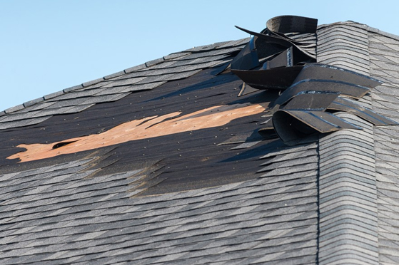 turtle shell roofing strome wind