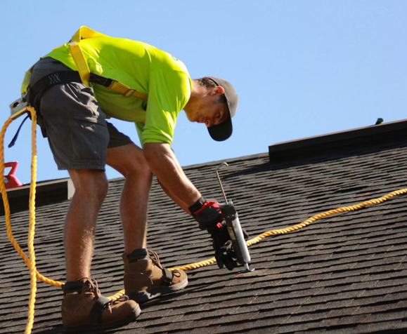 turtle shell roofing about image big.jpg (1)