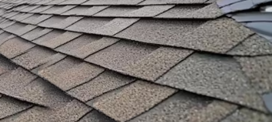 turtle shell roofing step 4 drying.jpg